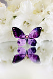 Madam Butterfly liblikapross
