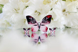 KUMA kinkekomplekt - Queen of Hearts pross + kõrvarõngad
