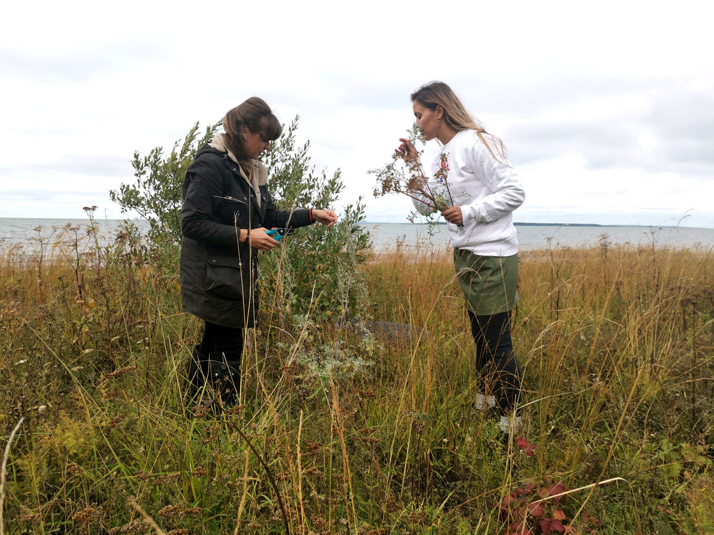 Taimede väest Maret Allikas'ega