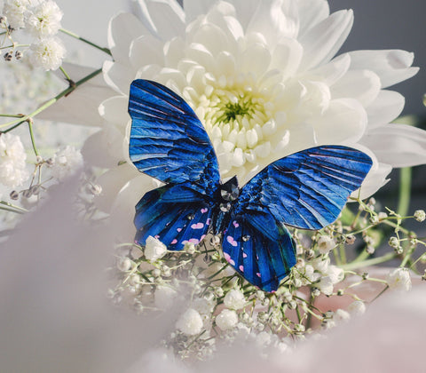 Taevalind Butterfly Brooch