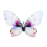 Mini Sea Shell taurina piespraude-KUMA Design Store
