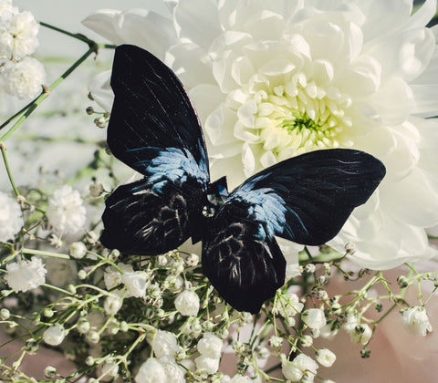 Öölind Butterfly Brooch