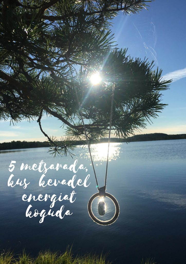 KUMA tüdrukute 5 lemmik metsa- ja loodusrada