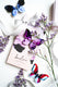 KUMA Brooch x KUMA handmade chocolate Gift Set