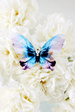 Twilight of Tallinn Butterfly Brooch - KUMA Design Store