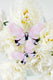 Sunrise of Paris Butterfly Brooch - KUMA Design Store
