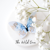 KUMA Brooch x KUMA organic tea Gift Set