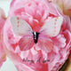 KUMA Brooch x KUMA organic tea Gift Set