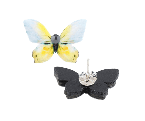 Kategooria pilt