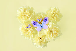 Do-gooder Butterfly Brooch - KUMA Design Store