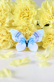Happy-go-lucky Butterfly Brooch - KUMA Design Store