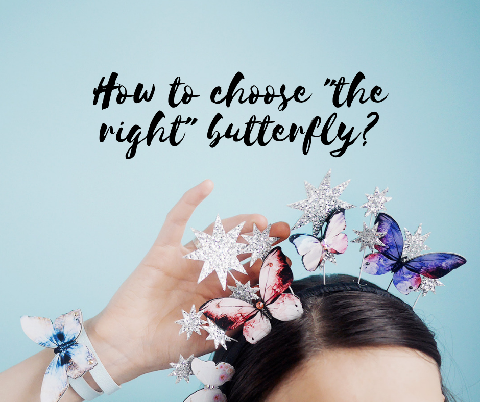 How to choose the right butterfly for a loved one?
