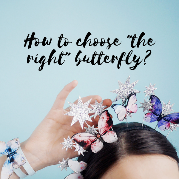 How to choose the right butterfly for a loved one?