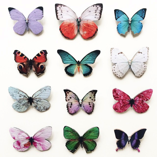 Butterflies For Bloggers!