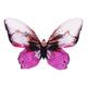 Nights of Ibiza Butterfly Brooch - KUMA Design Store