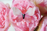 Wings of Love Butterfly Brooch - KUMA Design Store